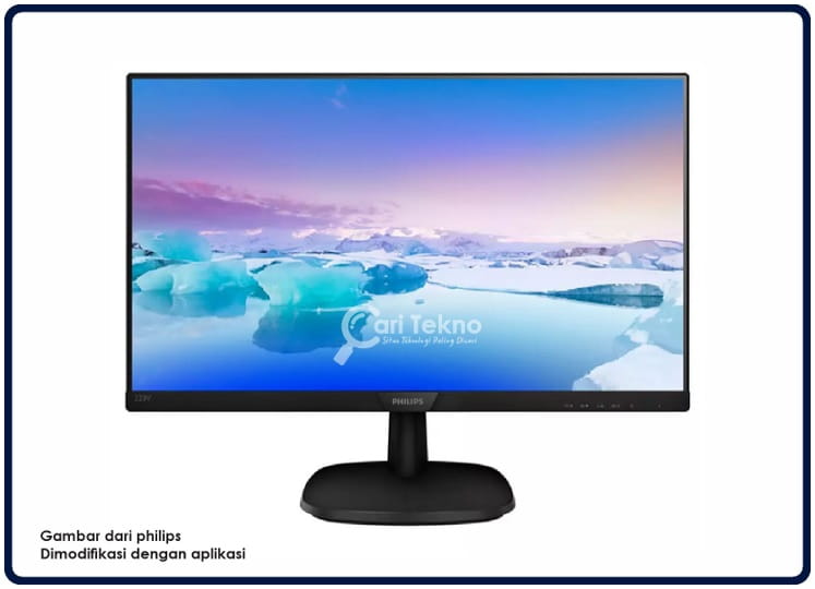 Monitor LCD