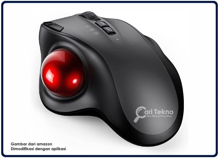 Trackball mouse