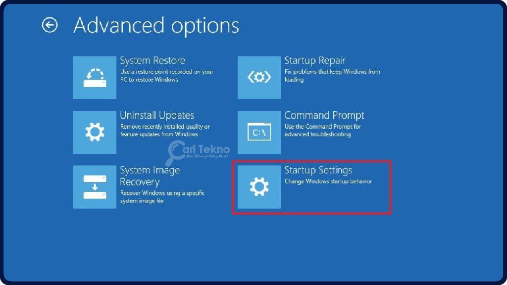 safe mode advanced options startup setting