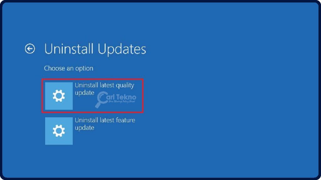 advanced options uninstall latest wuality update