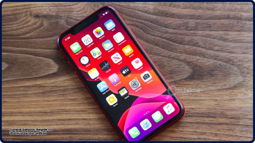 display iphone 11 dan xs max