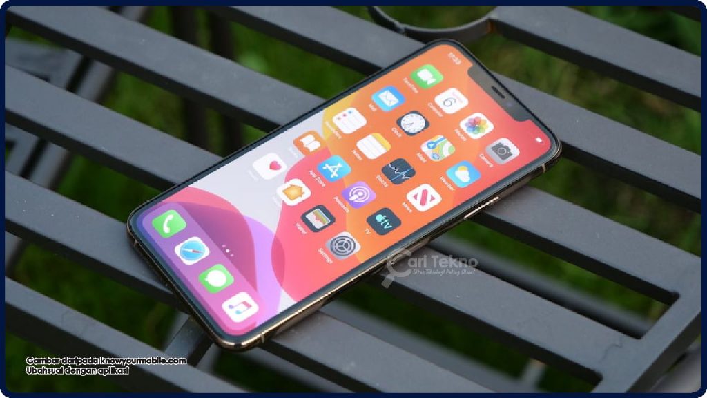 display iphone 11 dan 11 pro max