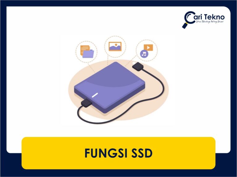 fungsi ssd